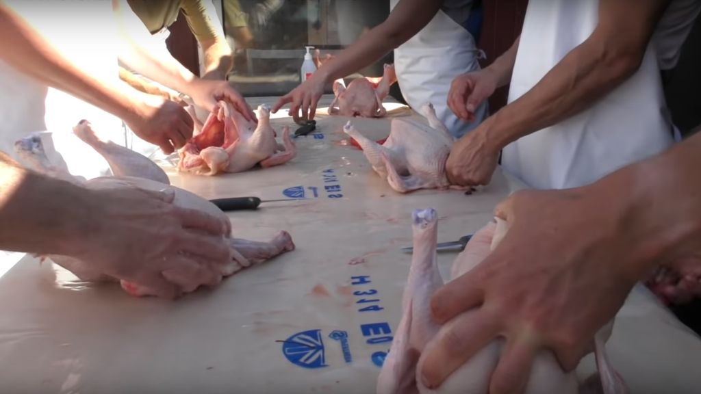 1 HR PASTURED POULTRY MASTERCLASS