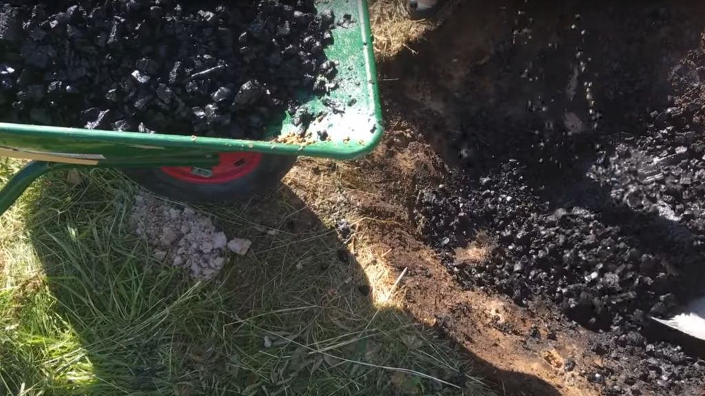 CONE PIT BIOCHAR, BEES AND NUT TREES