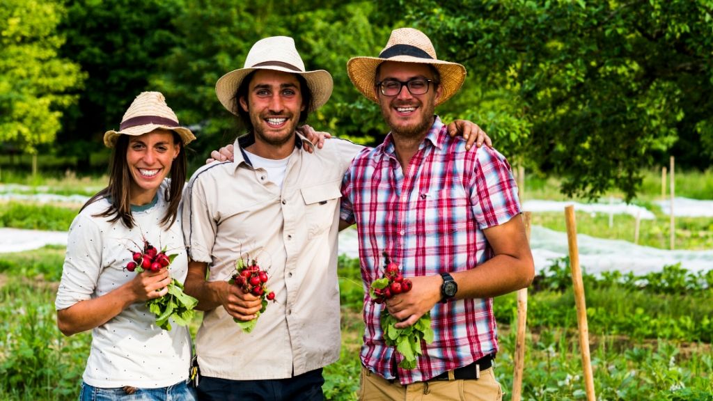 FARM LIKE A HERO EXPERIENCE: MARK ANTONY ANYFANDAKIS FROM TERRA, A LUXEMBOURG NO-DIG CSA