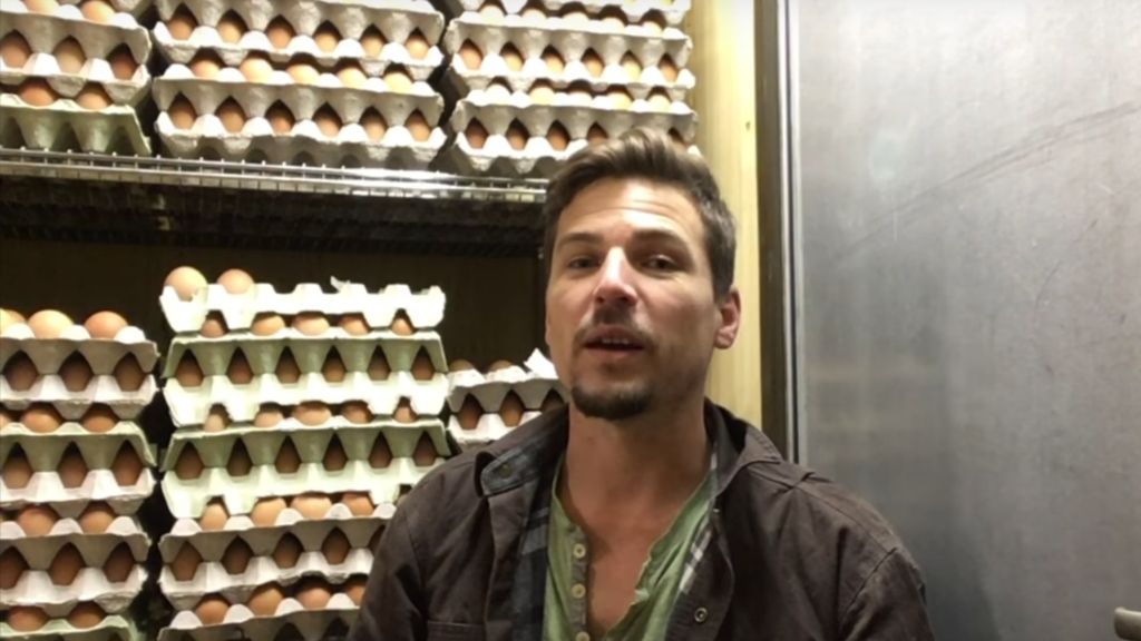 HANDLING 8000 PASTURED EGGS A WEEK…