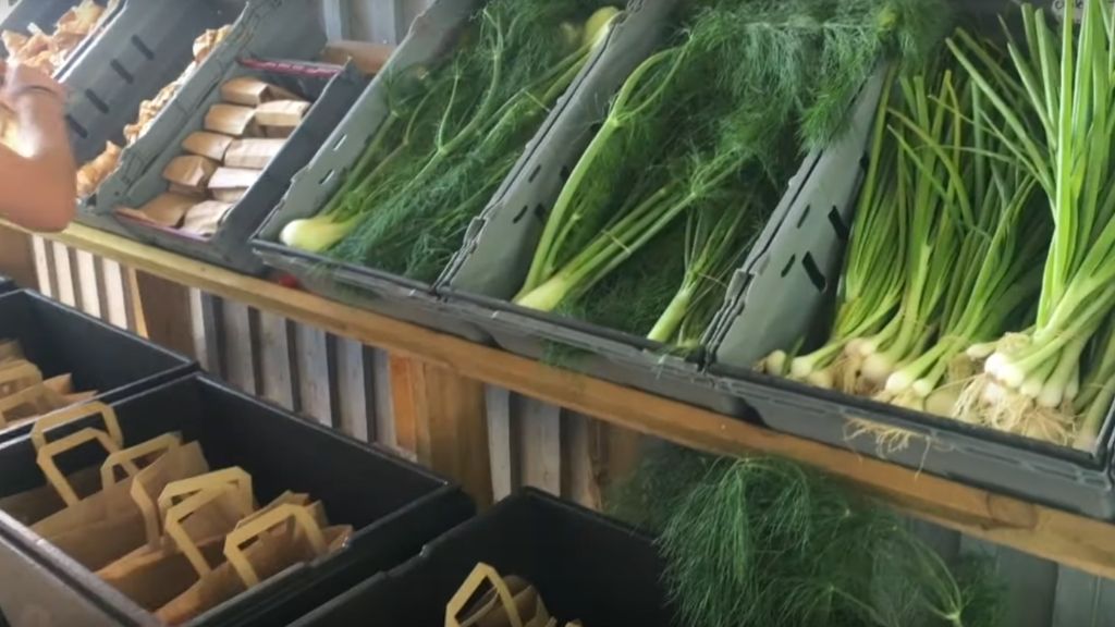 PACKING PASTURED POULTRY AND NO-DIG GROWN VEGETABLES