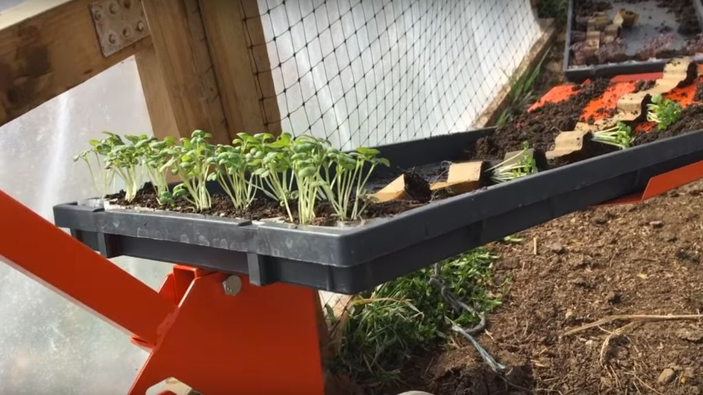 PAPERPOT TRANSPLANTER IN LUMPY COMPOST