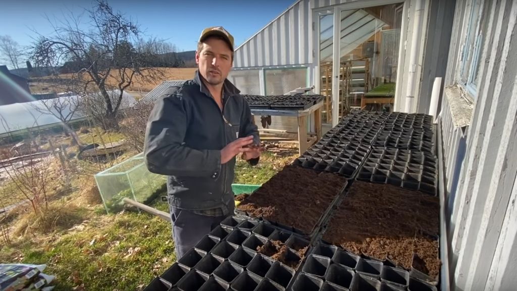 POTTING ON TOMS