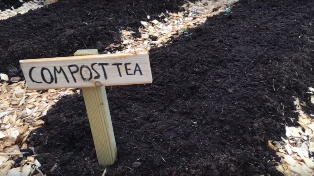 SOIL BUILDING TRIALS