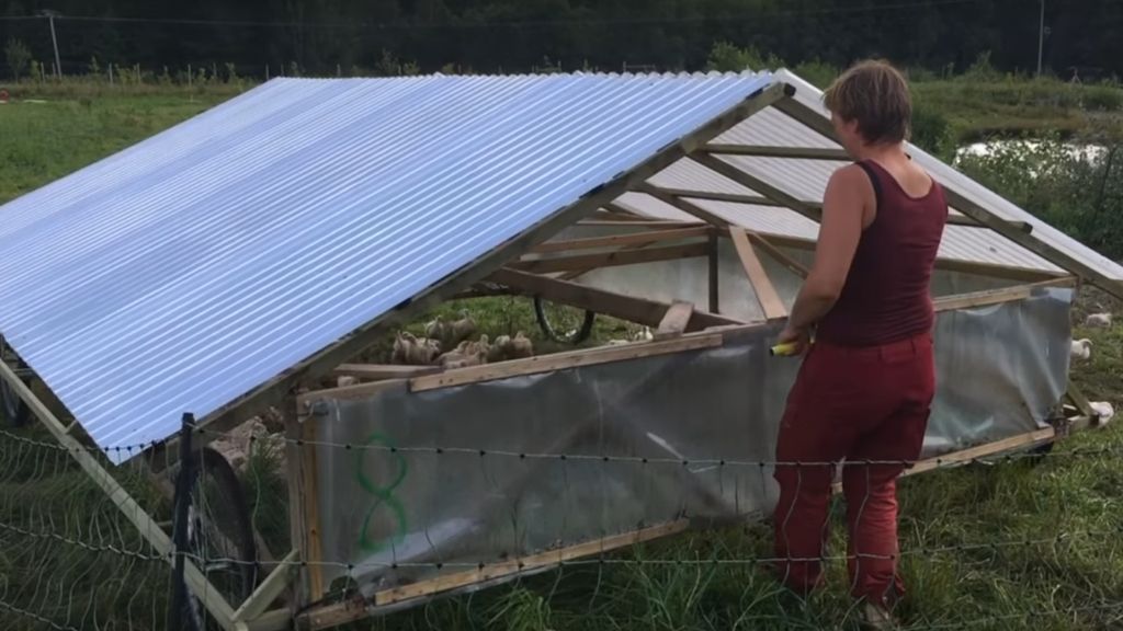 THIS NEW PASTURED POULTRY PEN COULD CHANGE EVERYTHING!