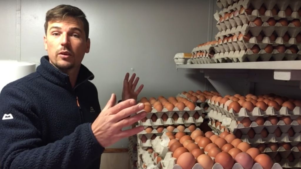 WHERE TO PUT 20 TONS OF EGGS?