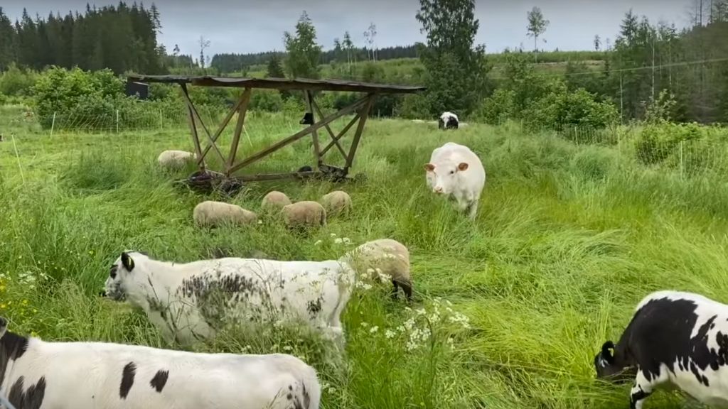 A FARM WALK AND TALK