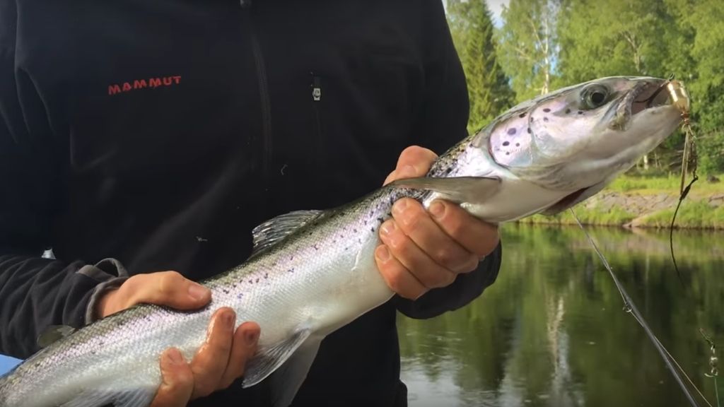 HOP POLES, MIDSUMMER, SHEEP BUTCHER & SAUSAGE MAKING, SALMON FISHING AND POND MAKING 2