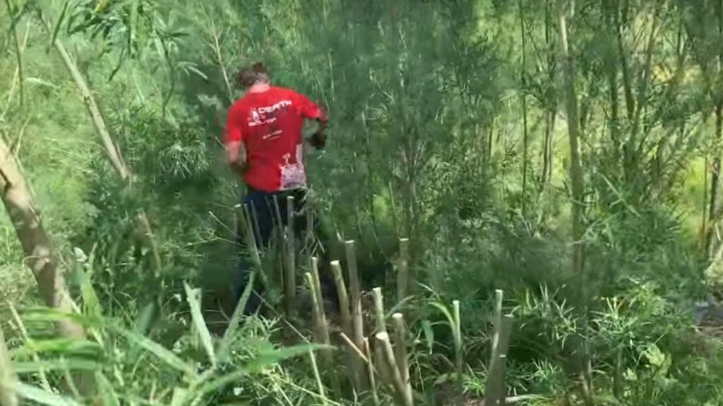 KEYLINE PLOWS AND 1000’S OF SALIX CUTTINGS…