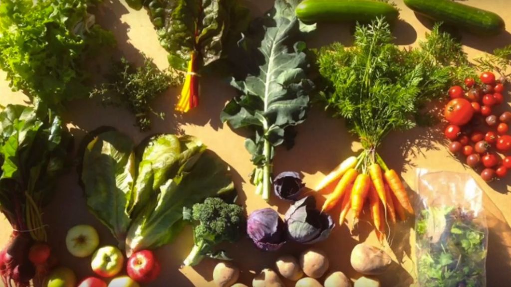 RIDGEDALE FARM AB VEG BOX CSA