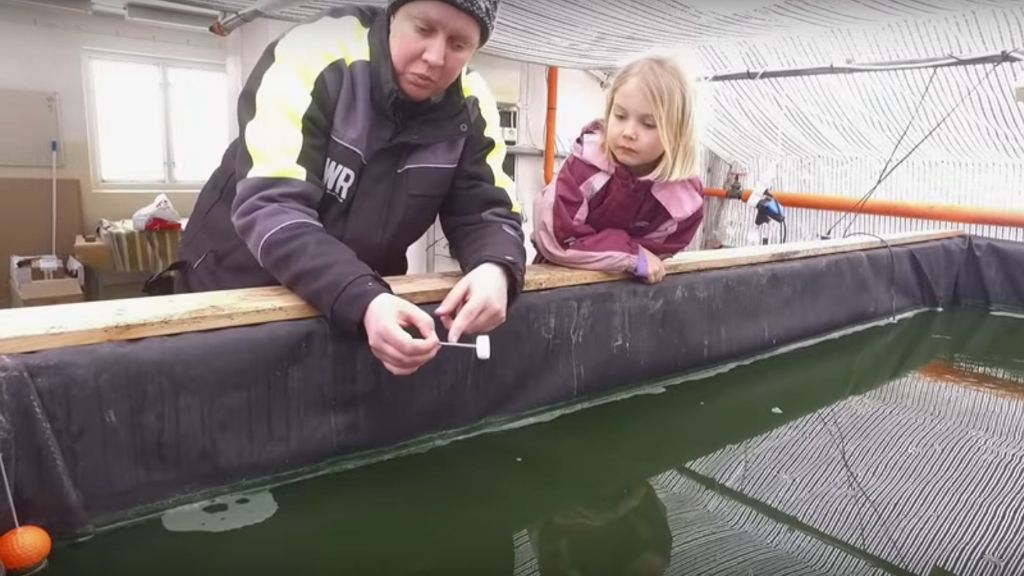 SPIRULINA FARMING AT 59°N