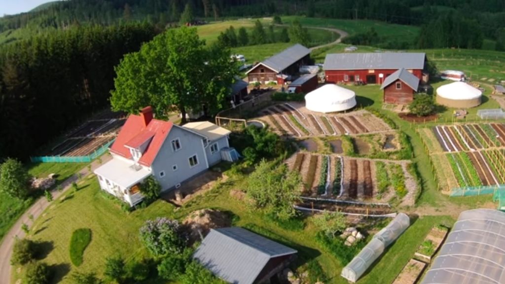 THE PERMACULTURE FARM (PROFITABLE/ECOLOGICAL/BEAUTIFUL)