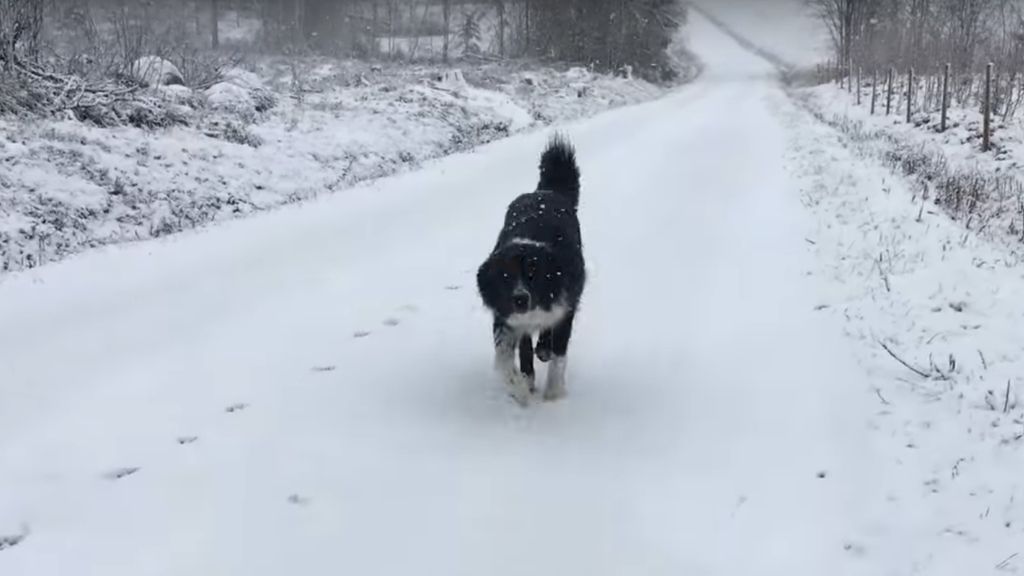 WHEN WILL SPRING TRULY ARRIVE? FARMING AT 59N