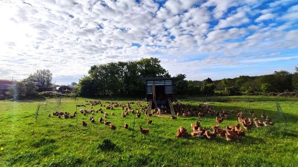 FARM LIKE A HERO EXPERIENCE: MICHAEL WALSH