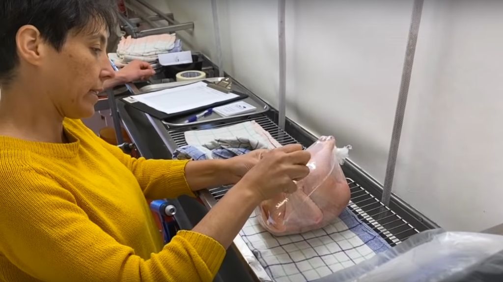 PACKING PASTURED BROILERS