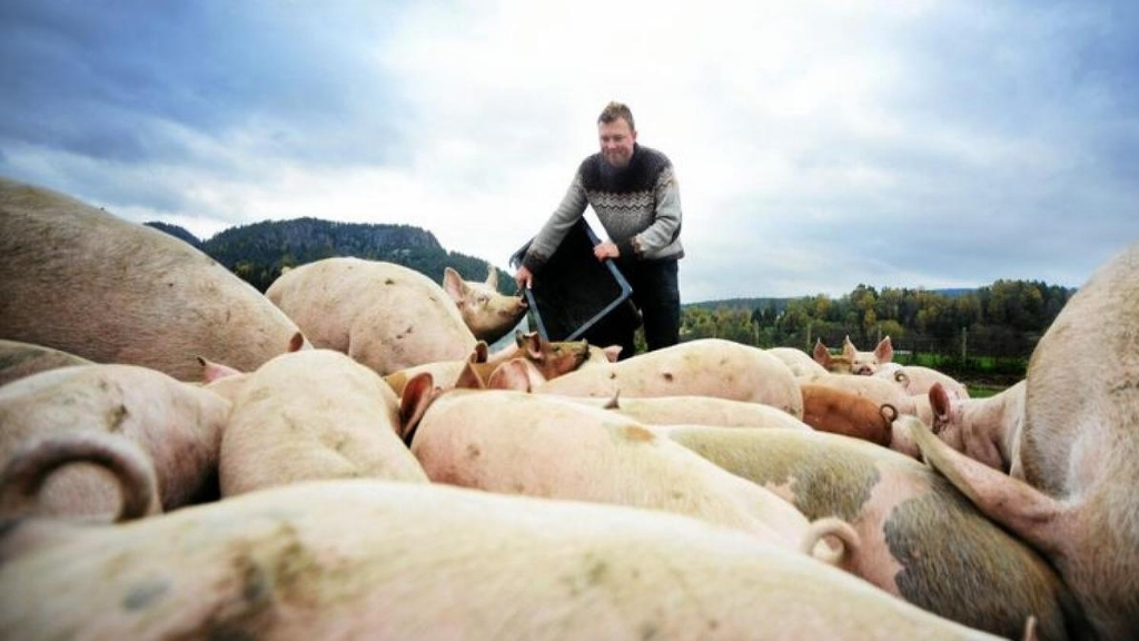 FARM LIKE A HERO EXPERIENCE: TORE WIRGENES