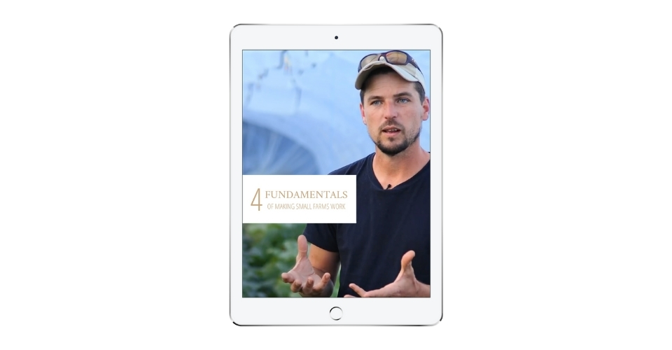 RichardPerkins_OnlineTrainings_4Fundamentals_M
