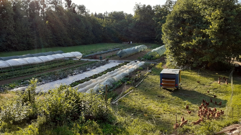 FARM LIKE A HERO EXPERIENCE: TILEN PRAPROTNIK