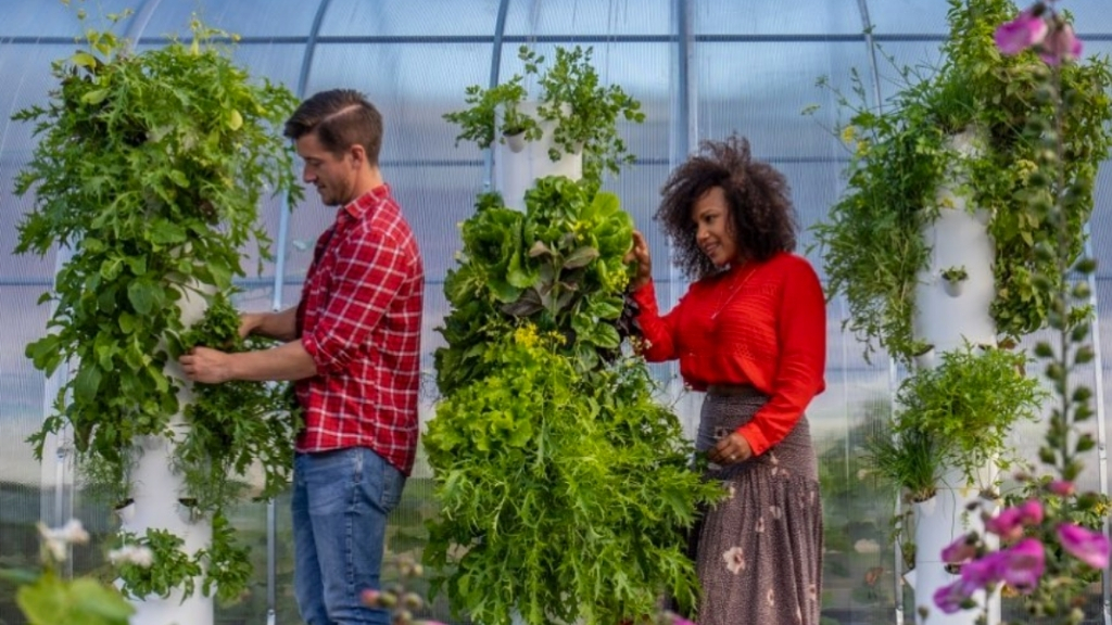 FIRST AN EPIC CITY CENTER ROOFTOP FARM AND NOW A REGENERATIVE AG FARM, TOO!