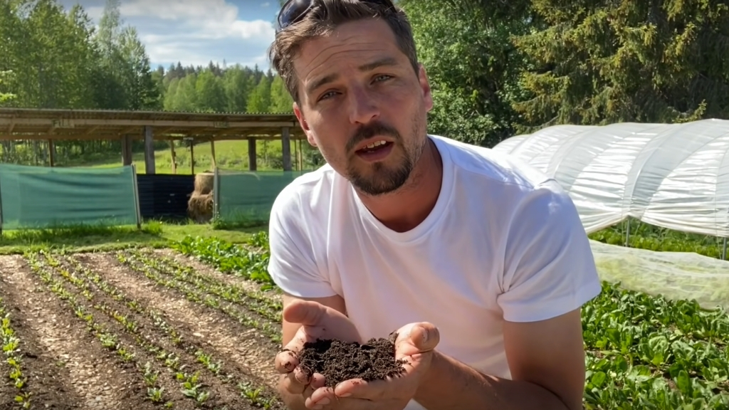 5 KEYS TO SUCCESS WITH NO-DIG MARKET GARDENING