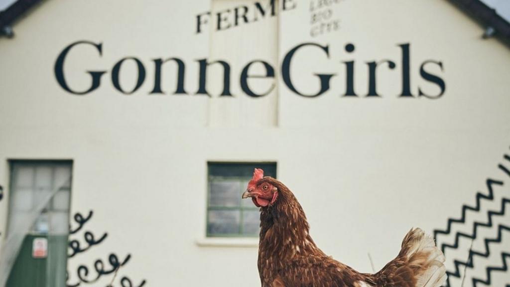 FARMER TALK: GONNE GIRLS