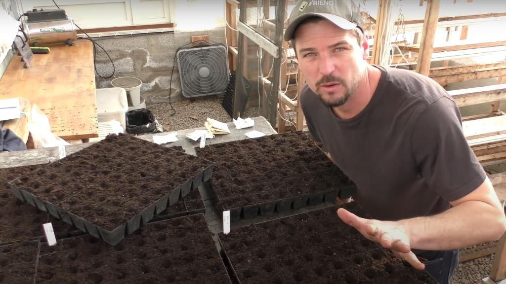 SEEDING THIS YEAR’S TOMATOES