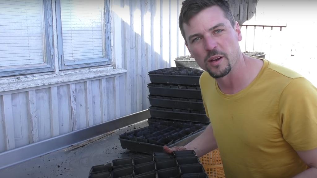 POTTING ON TOMATOES