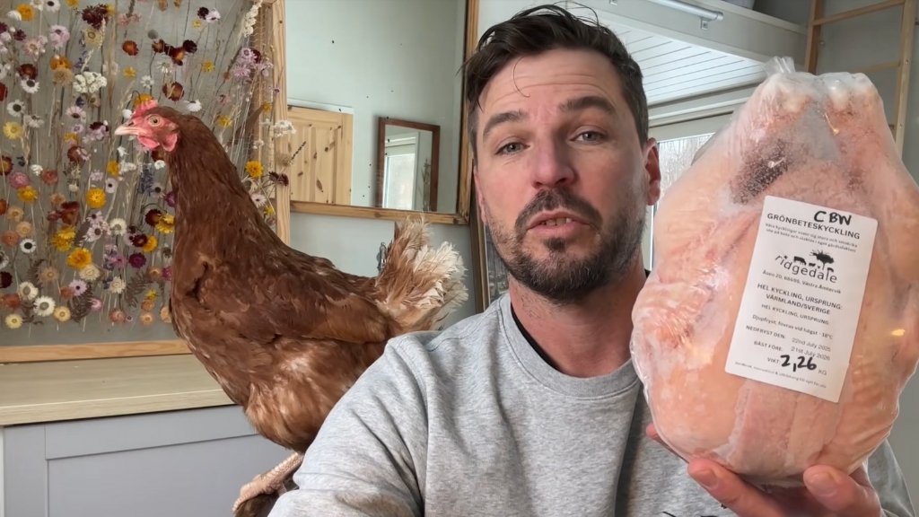 ALSKADA KYCKLING – EXPLORING COMPLEXITIES OF POULTRY PRODUCTION IN SWEDEN AND WHAT WE STAND FOR