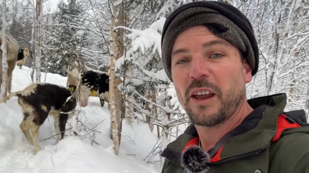 UNTIMELY BIRTHS AND A LOOK AHEAD AT 2026