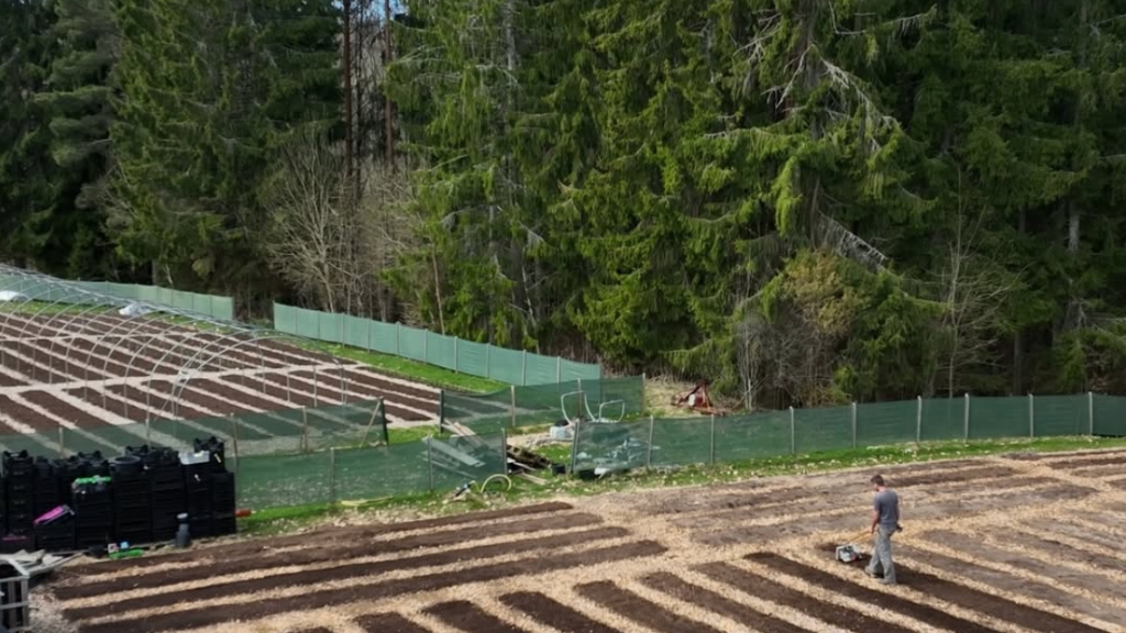 THESE MARKET GARDEN BEDS HAVE BEEN COVERED FOR 4 YEARS